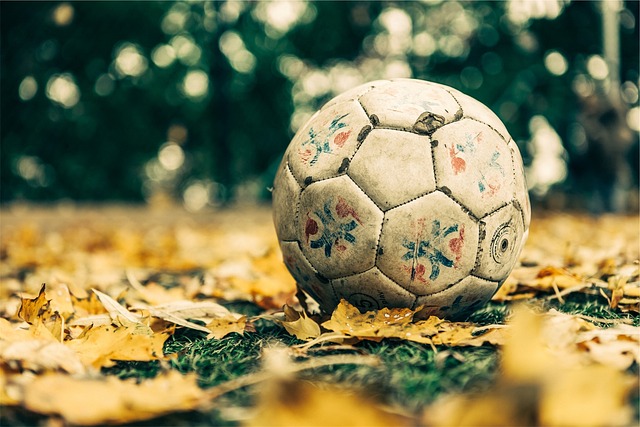 Fodbold set fra et økonomisk synspunkt med fokus på priser og udgifter